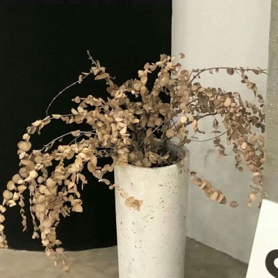 兰考FurryQQ群介绍